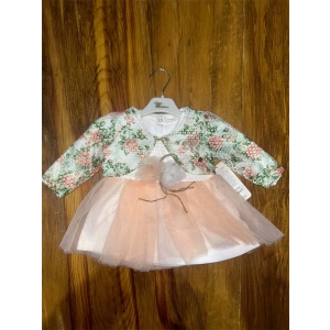 9-18 Aylık Prenses Elbise Pudra