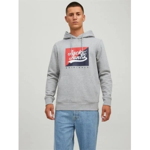 Logo Baskılı Kapüşonlu Erkek Sweatshirt