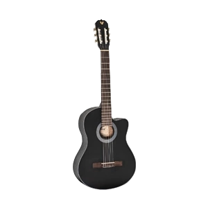 Klasik ve Akustik Gitarlar