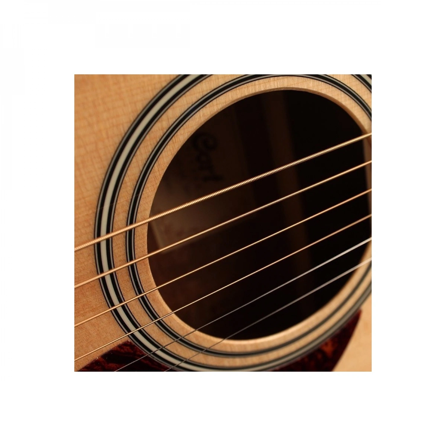 Ad810Op Akustik Gitar (Kılıf Hediyeli)
