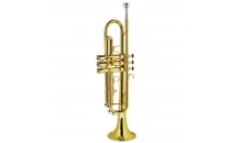 Trompet / Kornet / Flugelhorn