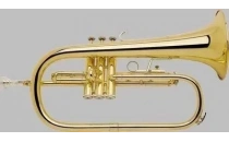 Flugelhorn