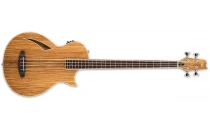 Akustik Bas Gitarlar