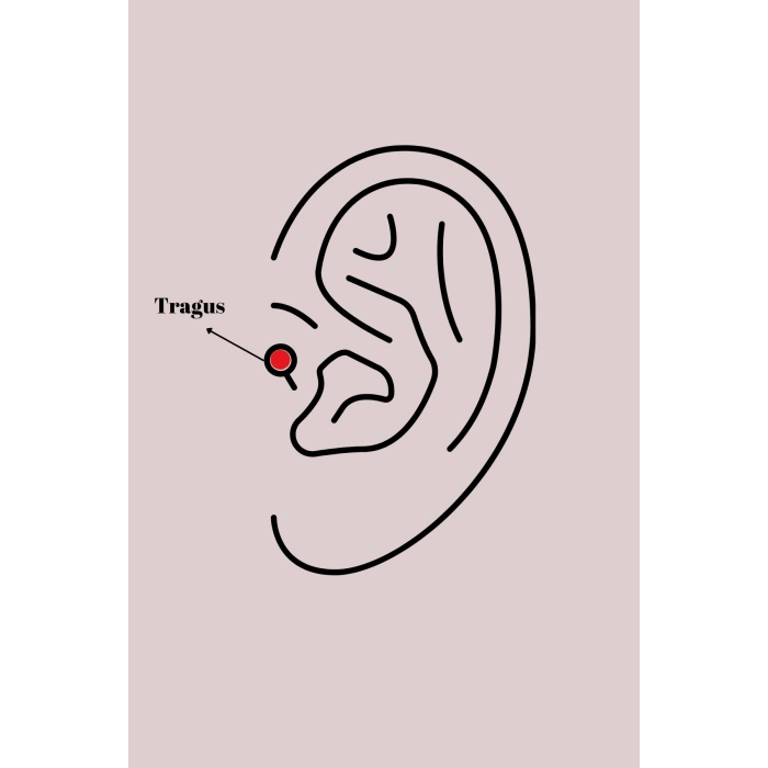 316L Çelik Gümüş Renk Kırmızı Mineli Kalp Tragus Piercing