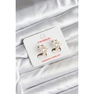 14K Gold Renk Kaplama Kutup Yıldız Zirkon Taşlı CM Kadın Küpe