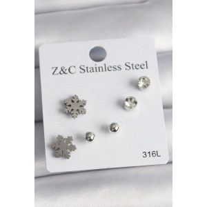 316L Çelik Gümüş Renk Zirkon Taşlı Kar Tanesi Model Kadın Küpe Seti