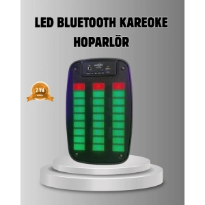 GTS 1793 Işıklı 6.5 İnç Kablosuz Hoparlör Bluetooth, USB ve FM Özellikli