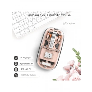 Pembe 501 Bt+ Wireless Mouse ZR1133