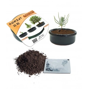 Toprak Saksılı Bonsai Fıstık Çam Bitkisi Mini Ekim Kiti Seti (5047)