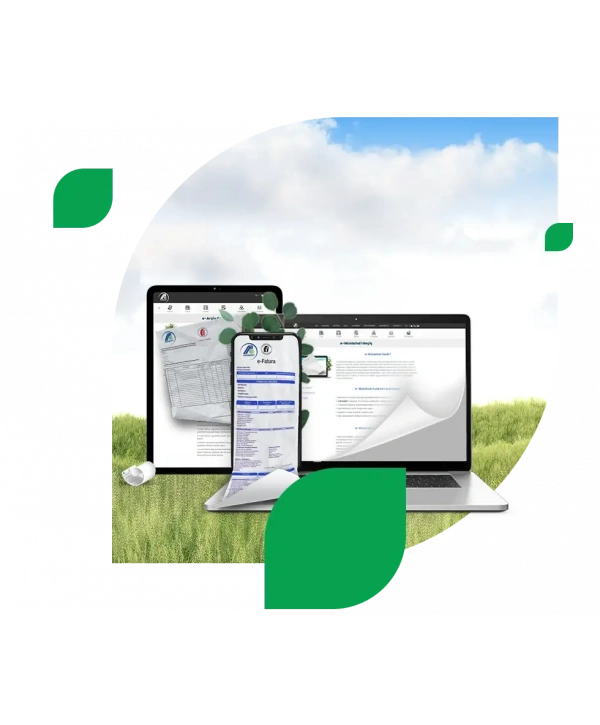E Fatura Portal