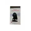 Mobile Phone Sensor Speaker Stand