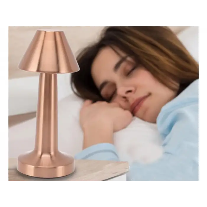 Biradlı Şarj Edilebilir Masa Lambası