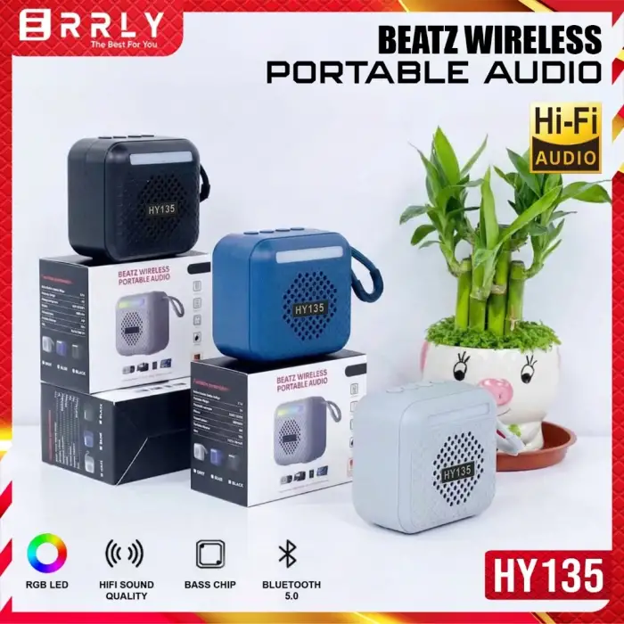 Taşınabilir Müzik Çalar  HY135