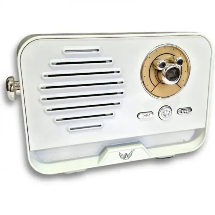 Platoon Bluetooth 5.3 Mini Retro Radyo PL-4707