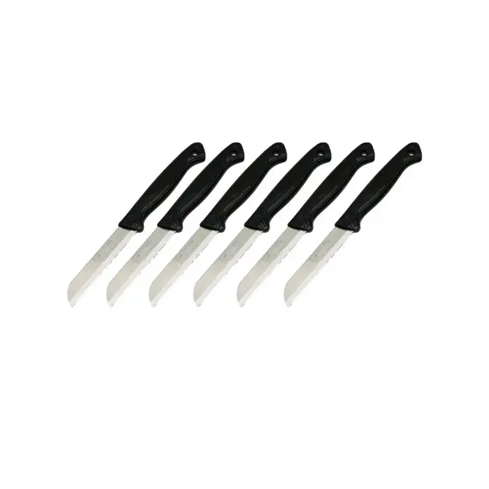 Solingen Meyve Bıçak ( Siyah Plastik Saplı )*36x6