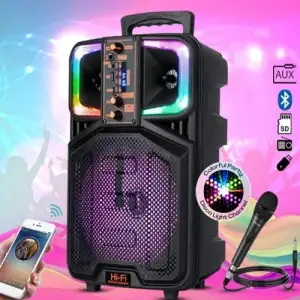 Platoon Usb+SD+Bluetooth Hoparlör Çek Çek 8 İnç RGB Işıklı ( CH-833 )