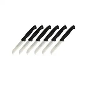 Solingen Meyve Bıçak ( Siyah Plastik Saplı )*36x6