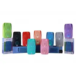 Platoon PL-4678 Bluetooth SD USB Bağlantılı RGB Işıklı Speaker