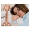 Biradlı Şarj Edilebilir Masa Lambası