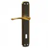 Eriş-01 Bravo ( Oda ) ( Sarı Albrifin ) Kapı Kolu Takım*2x30