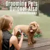 Köpek Ve Kedi Traş Makinesi