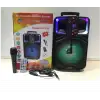 Platoon Usb+SD+Bluetooth Hoparlör Çek Çek 8 İnç RGB Işıklı ( CH-833 )