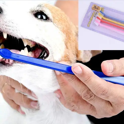 Çift Taraflı Hayvan Diş Fırçası 4 Lü Set