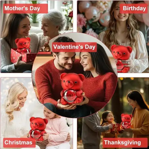 Egonex Ayıcık Takı Kutusu