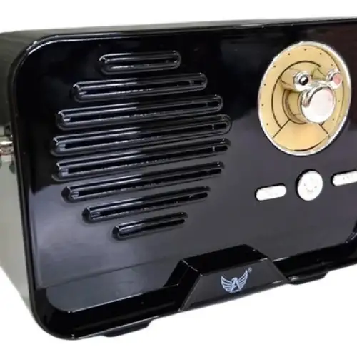 Platoon Bluetooth 5.3 Mini Retro Radyo PL-4707