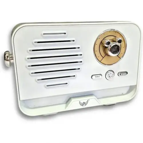 Platoon Bluetooth 5.3 Mini Retro Radyo PL-4707