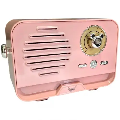 Platoon Bluetooth 5.3 Mini Retro Radyo PL-4707