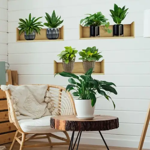 Raflı Bitki Tasarımlı Yapışkanlı Sticker 20*30 Cm 3lü Set Mc-663