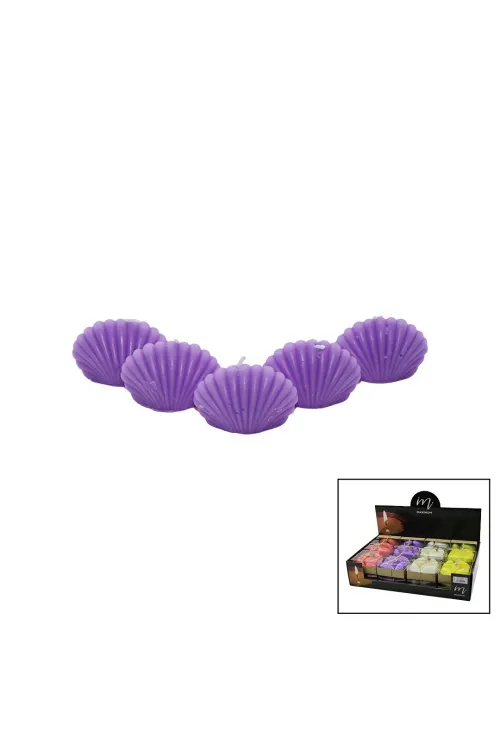 Egonex MAXIMUM MAX-2414 ( 5PCS & İSTİRİDYE ) RENKLİ KOKULU MUM*20X8
