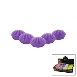 Egonex MAXIMUM MAX-2414 ( 5PCS & İSTİRİDYE ) RENKLİ KOKULU MUM*20X8