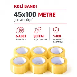 Hasbant ( Şeffaf ) ( 45mmx100mt ) Flex Hotmelt Koli Bantı*6x12