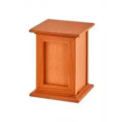 DİSPANSER-5200 AHŞAP OTOMATİK PEÇETELİK ESKİTME*26