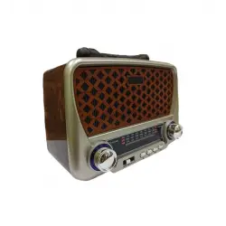 Gold Htc Ghtc-4010 Nostaljik Radyo Hoparlör Bluetooth Usb Tf Hafıza Kart Aux Destekli Müzik