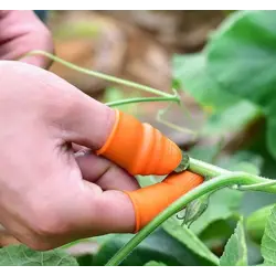 Pratik Baş Parmak Sebze Kesme Ayıklayıcı Erkek L Set
