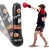 Şişme Boks Fitness Antrenman Dikey Kum Torbası PVC