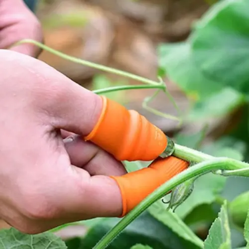 Pratik Baş Parmak Sebze Kesme Ayıklayıcı Bayan M Set