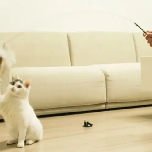 Vantuzlu Tüylü Zilli Kedi Oyun Oltası