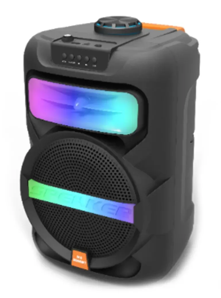 Platoon PL-4361 BT USB SD AUX 8 İNÇ Mikrofonlu Anfi Yüksek SES Taşınabilir RGB Işıklı Hoparlör