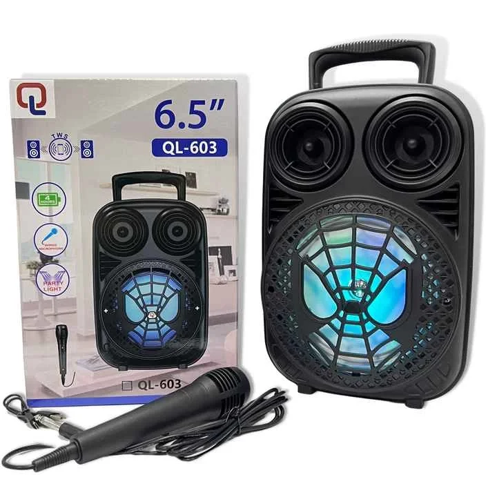 Taşınabilir 6,5 inç Açık Hava Kablosuz Bluetooth Hoparlör QL-603