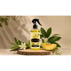 Raymoor Oda Araç Kokusu Oda Spreyi 500 ml