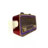 Ahşap Görünümlü Nostaljik Radyo Yage YG-300