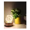 Ambiyans Led Masa Lambası Usb Şarjlı Bronz Roe Eskitme