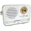 Platoon Bluetooth 5.3 Mini Retro Radyo PL-4707
