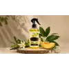 Raymoor Oda Araç Kokusu Oda Spreyi 500 ml