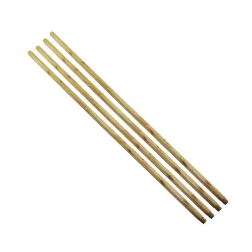 Egonex Krt-1017 ( Vernikli ) ( Ahşap ) ( 120cm ) Fileli Vileda Vilada Fırça Sapı*30=k