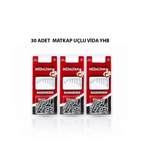 Egonex Medalyan Dl-100 ( 3.9x19 ) ( 30pcs ) Matkap Uçlu Vida*12x12